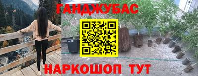 тгк Камышлов